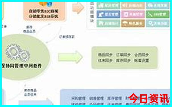 新澳门最新开奖记录查询2024年